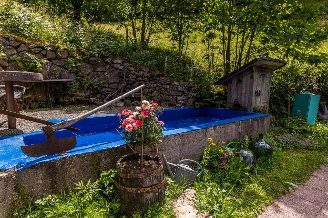 Ferienwohnung Teich 11 Gutenbach Eksteriør billede